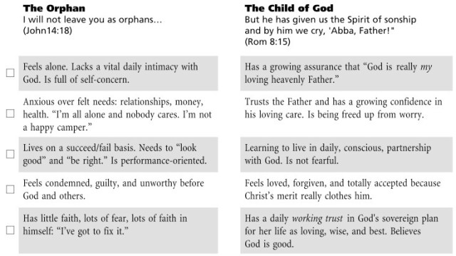 orphan son checklist
